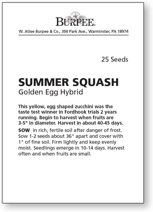 Burpee Golden Egg Summer Squash Seeds 25 seeds - Image 2