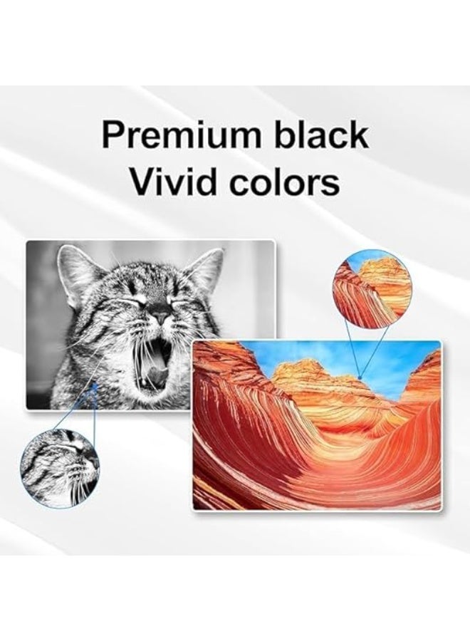 Terabyte PG-445XL CL-446XL Compatible PG-445XL CL-446XL Ink Cartridge for Canon Printer, Black and Tri-Color, 1200 Page Yield, Works with MG2440 MG2545S MG2940 MX494 TR4540 IP2840 - Image 4