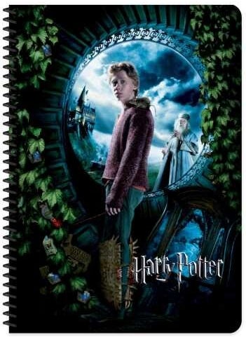 Keskin Color Sharp Color Harry Potter A5 60 Paperback Cover Notebook  - Image 3