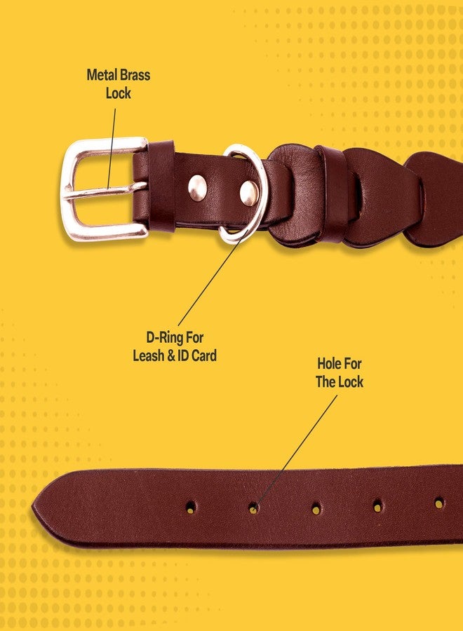 ADIL'S Adil’S Harness Leather Personalized Dog Collar for Large Medium Small Dogs Neck Collar with Customized Dog Name, Neck Size: 16'' to 20'', Size: M Color: Chestnut - Image 2