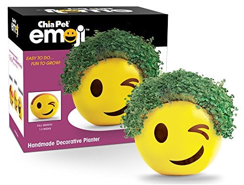Chia Pet Emoji Winky with Seed Pack, Decorative Pottery Planter, Easy to Do and Fun to Grow, Novelty Gift, Perfect for Any Occasion - Image 5