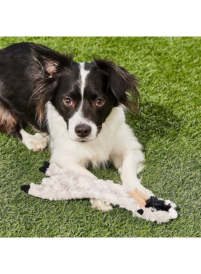 SPOT Skinneeez Crinklers Goat - Stuffing-Free Dog Toy with Crinkle & Squeaker Sounds, Durable for Moderate Chewers, Tug Toy for Small Dogs & Puppies, 14in - Image 3