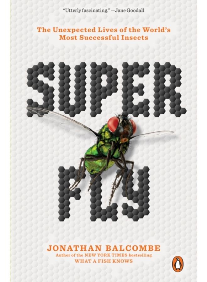 Super Fly : The Unexpected Lives of the World's Most Successful Insects 