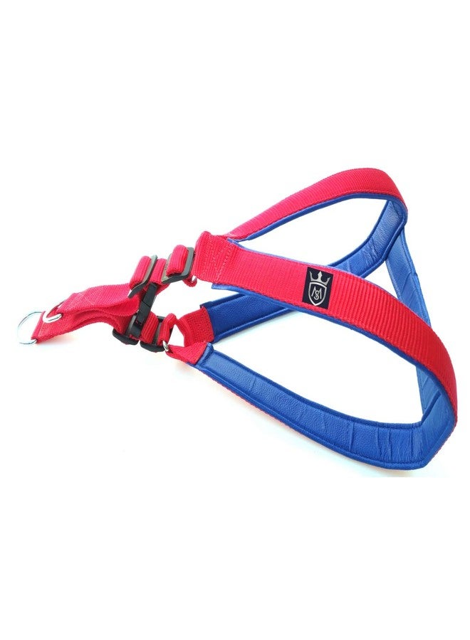 MS Petcare Nylon Padded Adjustable Dog Harness 1.25 Inch Large and Rope Leash 18 MM for Large Dogs (RED, Blue) - Image 2