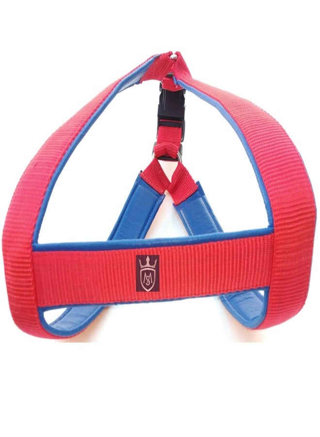 MS Petcare Nylon Padded Adjustable Dog Harness 1.25 Inch Large and Rope Leash 18 MM for Large Dogs (RED, Blue) - Image 4