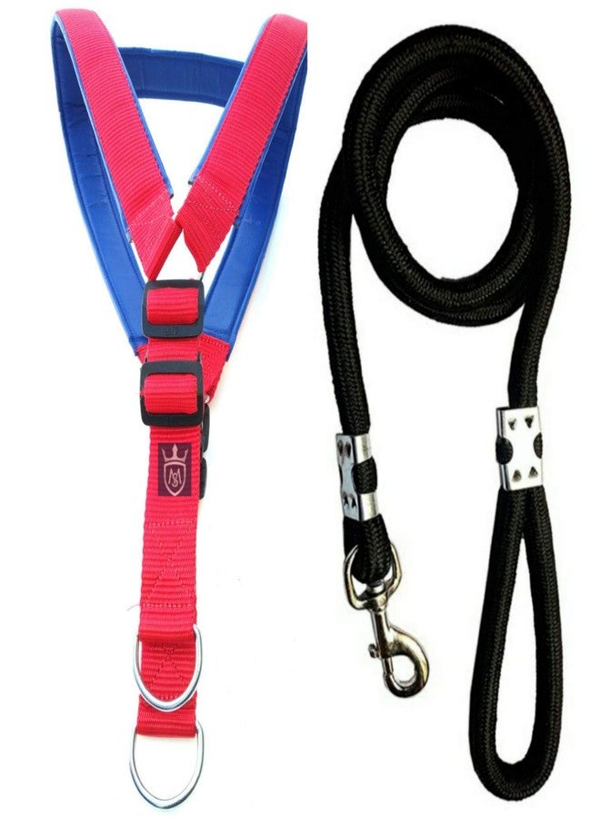 MS Petcare Nylon Padded Adjustable Dog Harness 1.25 Inch Large and Rope Leash 18 MM for Large Dogs (RED, Blue) - Image 1