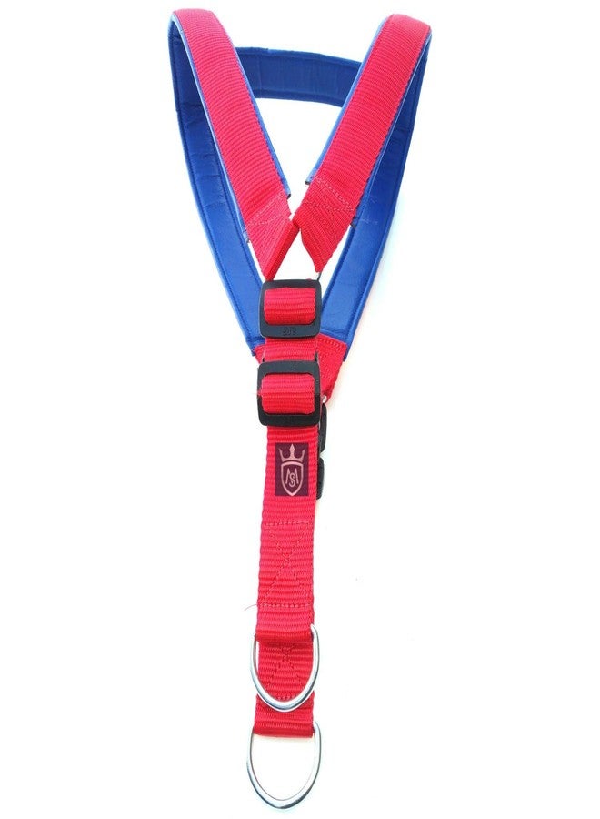 MS Petcare Nylon Padded Adjustable Dog Harness 1.25 Inch Large and Rope Leash 18 MM for Large Dogs (RED, Blue) - Image 5