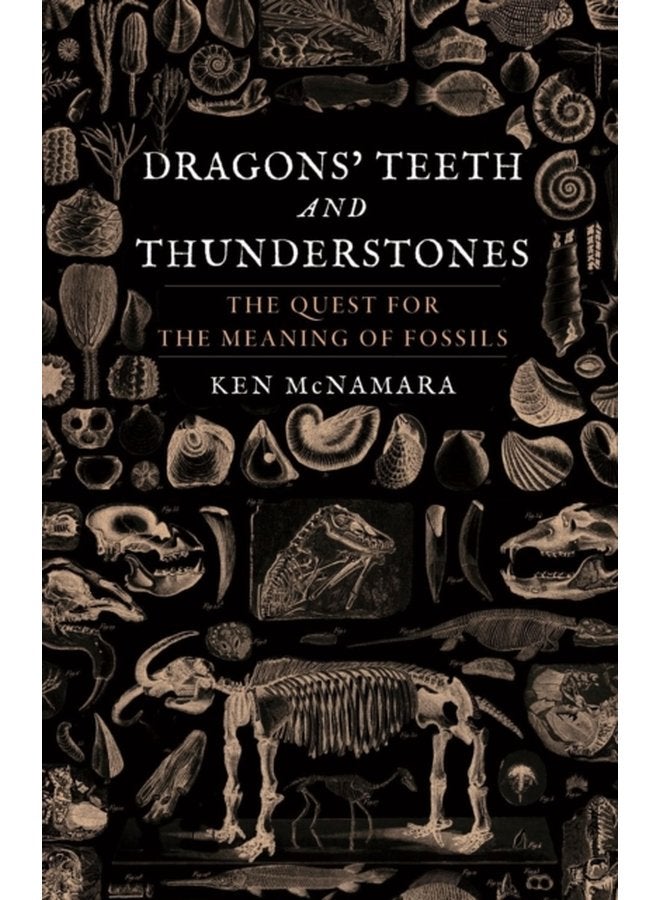 Dragons Teeth and Thunderstones The Quest for the Meaning of Fossils - Hardback