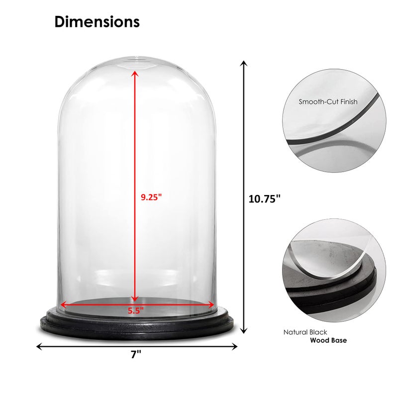 CYS EXCEL Glass Dome Cloche (H:9.25" D:5.5â€) with Black Wood Base Decorative Showcase Display for Antique Collectible Bell Jar Terrarium Dessert Cover - Image 2