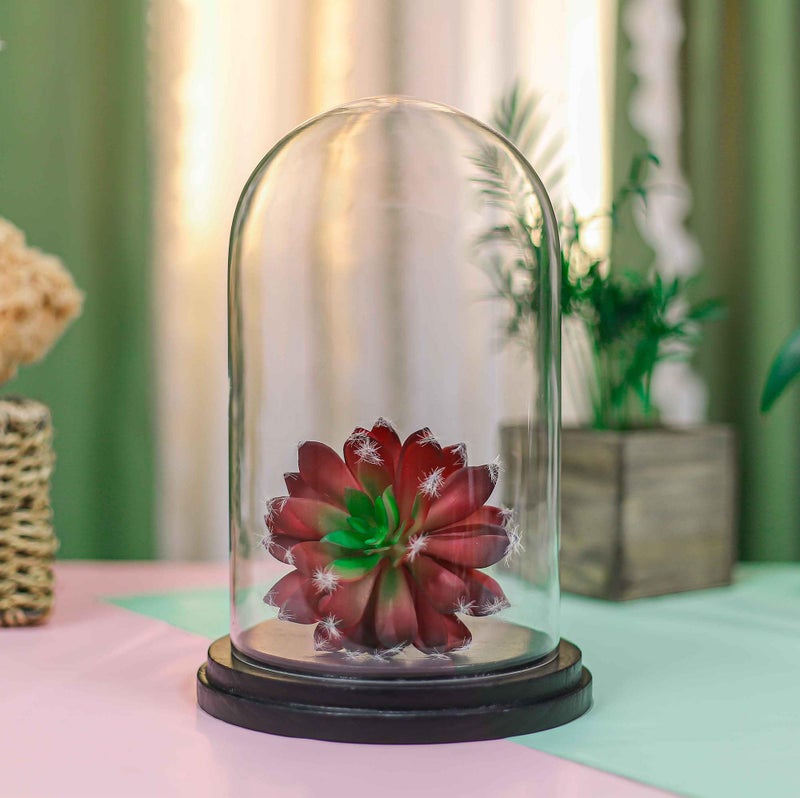 CYS EXCEL Glass Dome Cloche (H:9.25" D:5.5â€) with Black Wood Base Decorative Showcase Display for Antique Collectible Bell Jar Terrarium Dessert Cover - Image 5