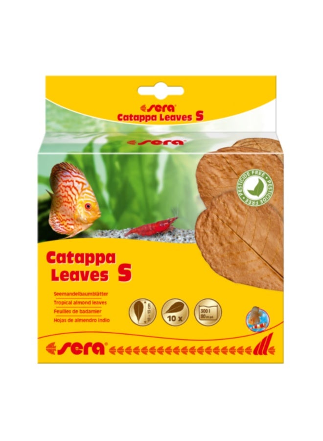 سيرا أوراق سيرا كاتابا (10 قطع) – الحجم صغير