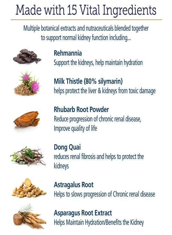 ركس فيتامينز فيتامينات آر إكس لدعم صحة الكلى للكلاب - كبسولات مستخلص شوك الحليب والشاي الأخضر وفطر الكورديسيبس - مكمل غذائي لدعم صحة الكلى - 120 كبسولة - Image 5