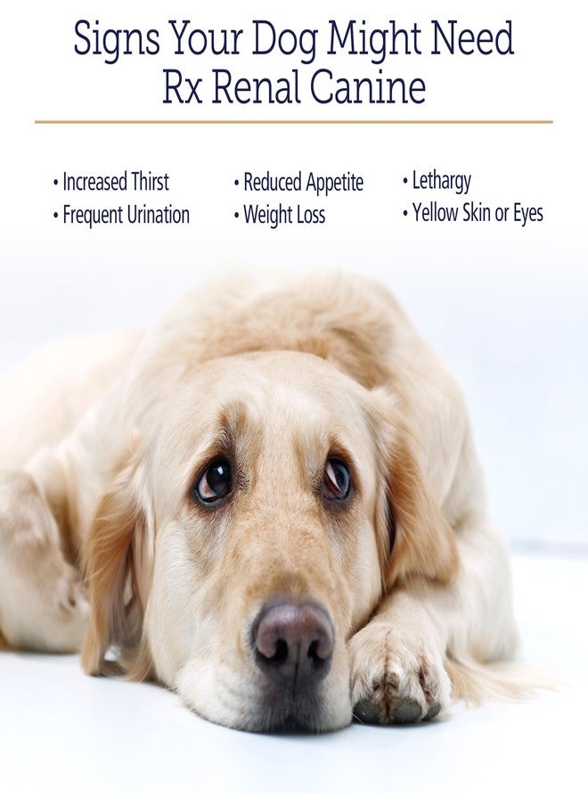 ركس فيتامينز فيتامينات آر إكس لدعم صحة الكلى للكلاب - كبسولات مستخلص شوك الحليب والشاي الأخضر وفطر الكورديسيبس - مكمل غذائي لدعم صحة الكلى - 120 كبسولة - Image 3