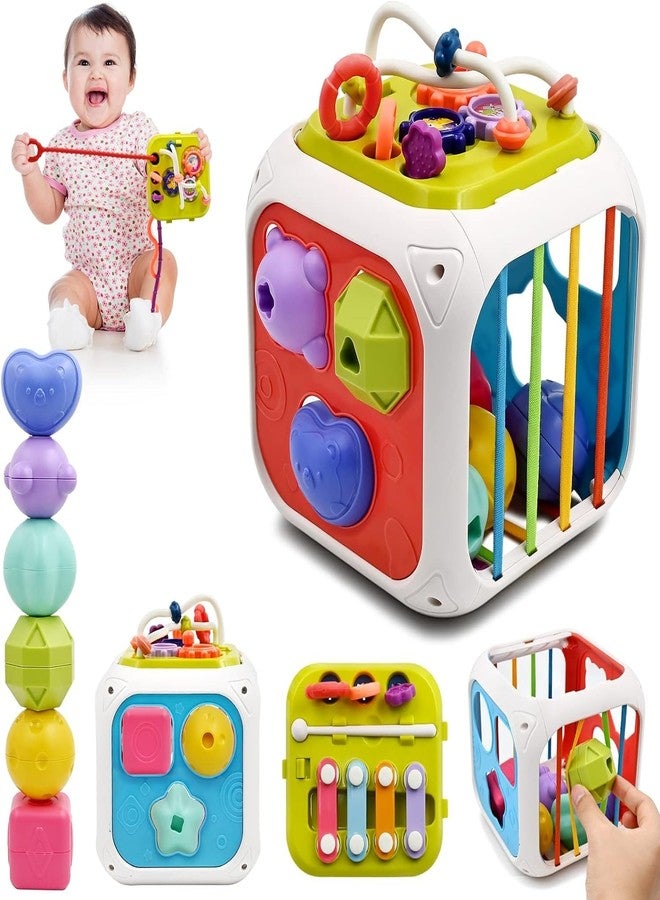 Brand Conquer Montessori 7 in 1 Baby Sensory Toy for Kids - Educational Learning Shape Sorter, Activity Stacking, Interactive Fine Motor Skill Development - Image 1