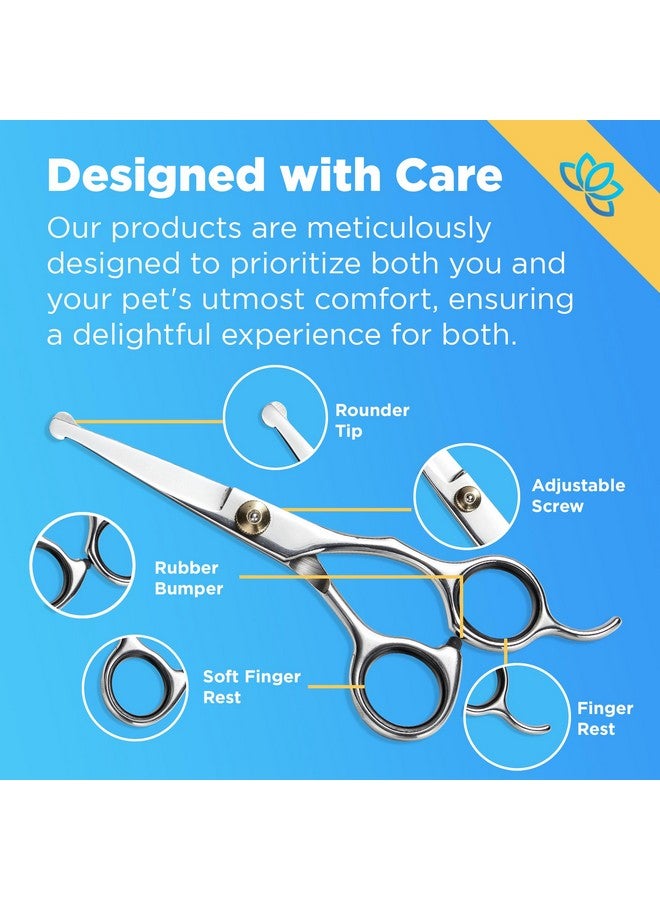 Equinox International Equinox Dog Grooming Scissors & Deshedder - 7 in 1 Pet Grooming Scissors Set with undercoat brush - Curved Dog Scissors with safety tips - Includes Thinning & Rounded Shears - For dogs & cats - Image 4