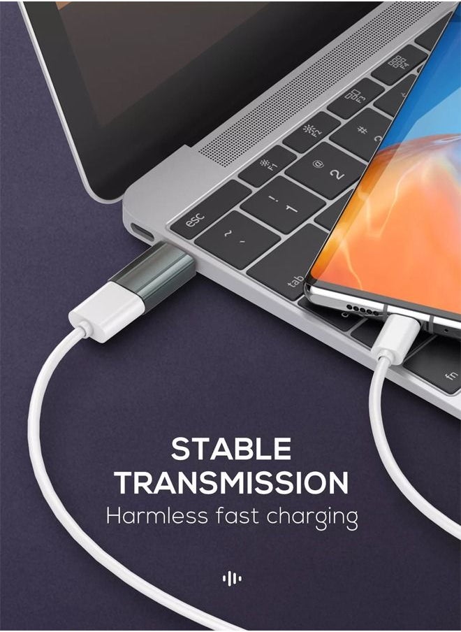 LDNIO - LC140 Otg Adapter USB C to USB 3.0 A Adapter Type C Male to USB 3.0 A Female Thunderbolt Converter for iPad Pro 2021 MacBook Samsung Note20 Ultra S21+ Huawei P40 Grey - Image 1