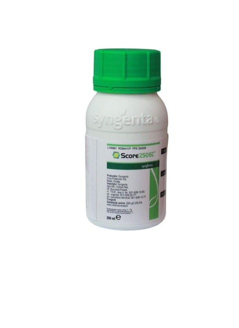 Syngenta Score Fungicide - Emulsifiable Concentrate an MOCCAE Approved Fungicide for Plants | Made in Germany | No.1 Choice of Gardeners | 250ml