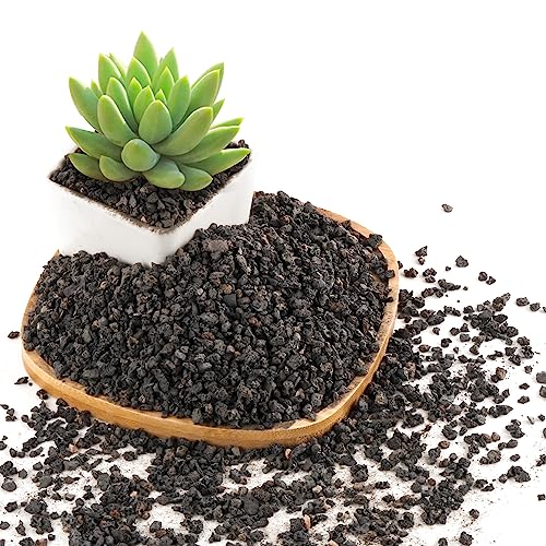 CJGQ 2.4LB Black Lava Rocks for Plants, Volcanic Rock Horticultural Lava Rock Soil for Landscaping Plants Drainage, Small Lava Rock Gravel for Succulents, Bonsai, Vase Fillers, Top Dressing - Image 1