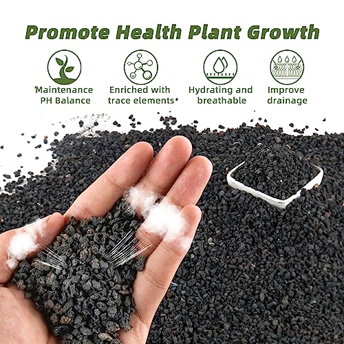 CJGQ 2.4LB Black Lava Rocks for Plants, Volcanic Rock Horticultural Lava Rock Soil for Landscaping Plants Drainage, Small Lava Rock Gravel for Succulents, Bonsai, Vase Fillers, Top Dressing - Image 2