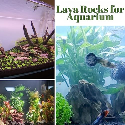 CJGQ 2.4LB Black Lava Rocks for Plants, Volcanic Rock Horticultural Lava Rock Soil for Landscaping Plants Drainage, Small Lava Rock Gravel for Succulents, Bonsai, Vase Fillers, Top Dressing - Image 4