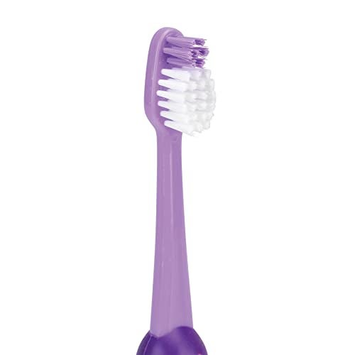 Practicon SmileGoods Y292 Child Toothbrush, Bubble Grip, Suction Cup, Individually Packaged Toothbrushes, Assorted Colors, Pack of 72 - Image 2