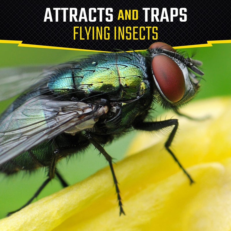 Black Flag Fly Stick, Trap Houseflies and Flying Insects, Pack of 6 - Image 2