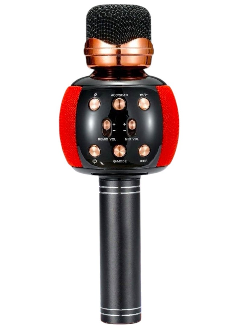 DLC Wireless Microphone Music Speaker