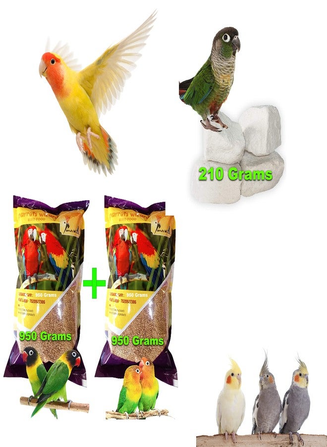 Parrots Wizard عبوة كومبو من باروتس ويزارد، مكعبات المعادن الطبيعية للببغاوات (210 جم) وطعام الطيور كانجني (1900 جم) - Image 1