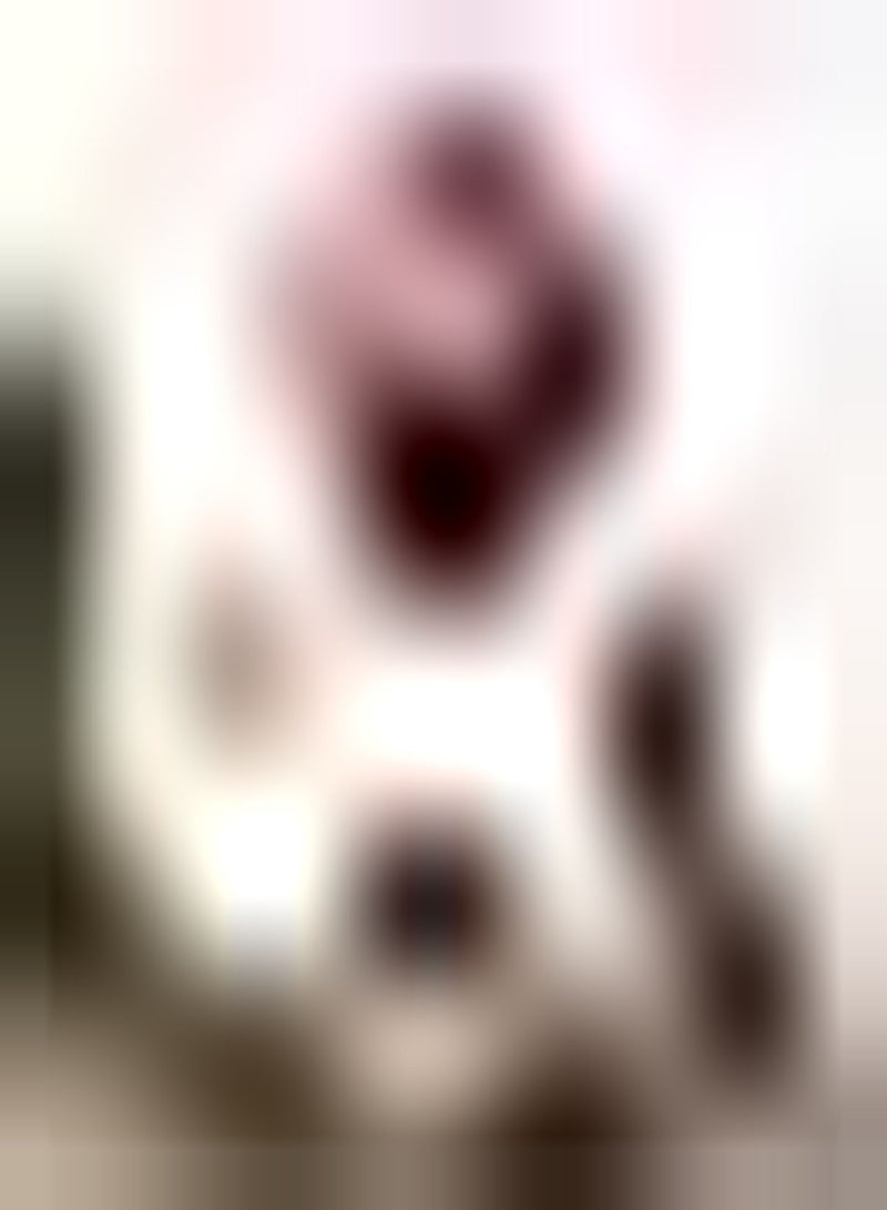 GGOOT 5pcs Peach Seeds Refreshing Water Fleshy Fruit Smooth Skin Rich in Multivitamins Crystal Clear Unique Aroma Easy to Plant - Image 1