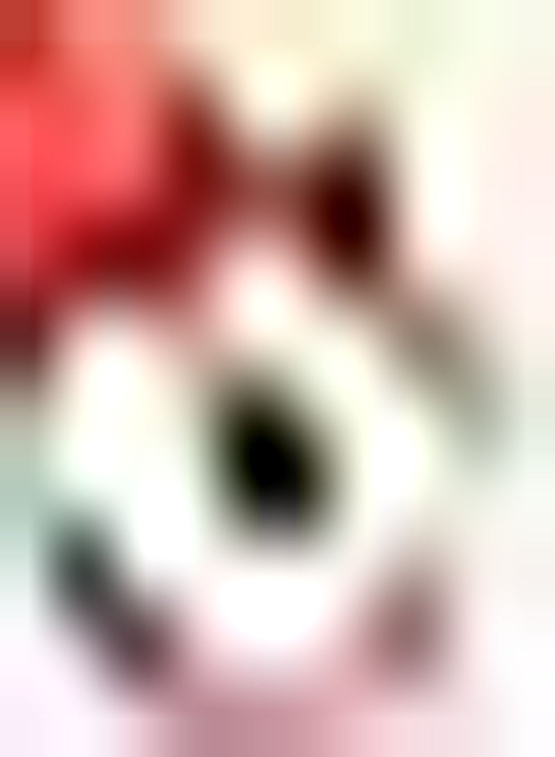 GGOOT 5pcs Peach Seeds Refreshing Water Fleshy Fruit Smooth Skin Rich in Multivitamins Crystal Clear Unique Aroma Easy to Plant - Image 2