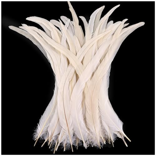 THARAHT THARAHT 20PCS Rooster Tail Feather 1618Inch 4045cm for Crafting Wedding Tying Feather Party Performances DIY Decoration Rooster Tail FeatherWhite 