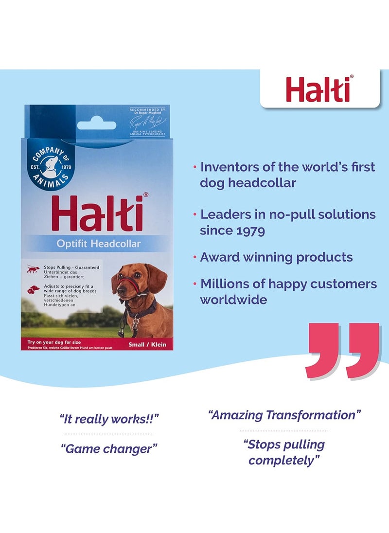 ذا كومباني أوف أنيمالز طوق رأس Optifit مقاس صغير لرأس الكلب لمنع شد المقود سهل الاستخدام طوق رأس عاكس وقابل للتعديل للكلاب مساعد تدريب احترافي مضاد للشد أسود  - Image 4