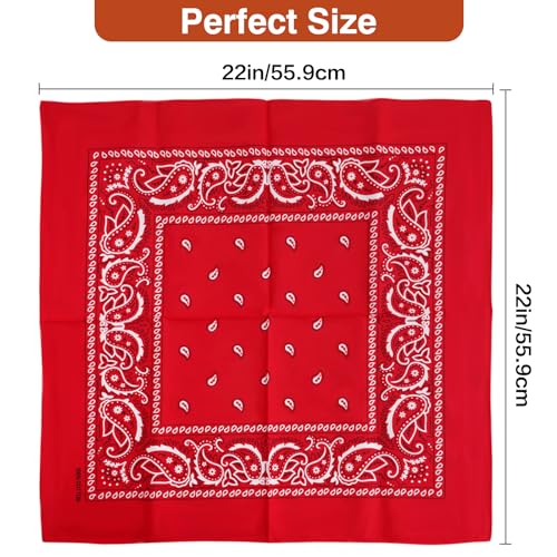 Raylarnia Bandana Multi-Purpose 100% Cotton Headbands for Women, 22 inch Paisley Cowboy Bandanas for Men - Image 3