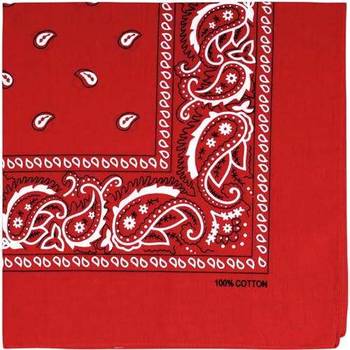 Raylarnia Bandana Multi-Purpose 100% Cotton Headbands for Women, 22 inch Paisley Cowboy Bandanas for Men - Image 1