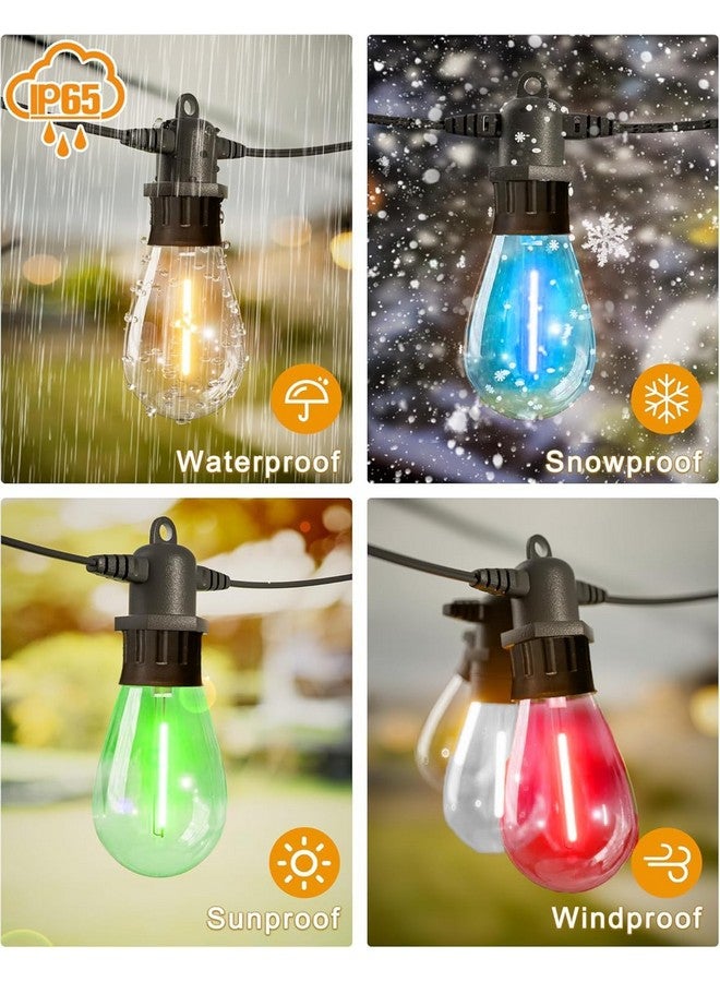 fizzytech أضواء خيوط فيزيتيك الخارجية 10 متر 20 لمبة مقاومة للكسر قابلة للتوصيل مضادة للماء للإضاءة المعلقة للحديقة، الشرفة، زينة الحفلات للديكور المنزلي (متعددة الألوان) - Image 4