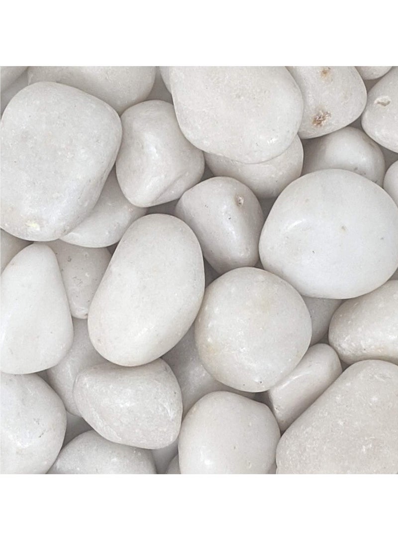 vsell24 3-5 cm White Decorative Pebbles - Smooth Polished River Rocks for Vases, Glassware, Aquariums, Lawns, and Outdoor Gardens  - Image 1