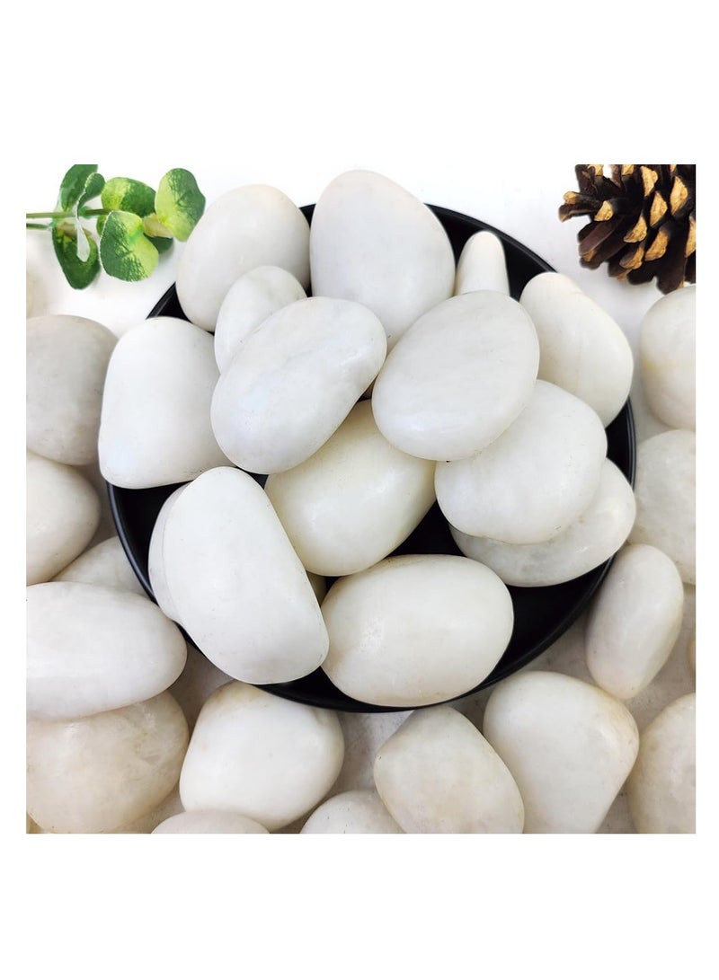vsell24 3-5 cm White Decorative Pebbles - Smooth Polished River Rocks for Vases, Glassware, Aquariums, Lawns, and Outdoor Gardens  - Image 2