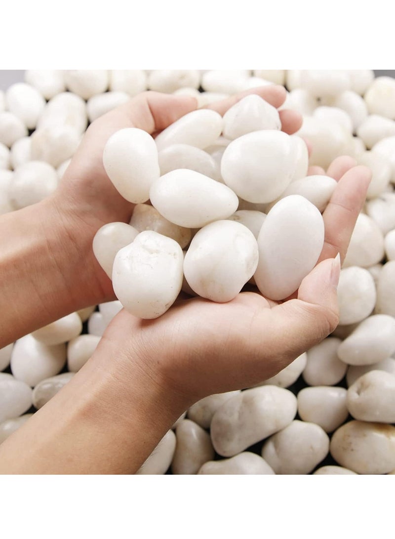 vsell24 3-5 cm White Decorative Pebbles - Smooth Polished River Rocks for Vases, Glassware, Aquariums, Lawns, and Outdoor Gardens  - Image 4