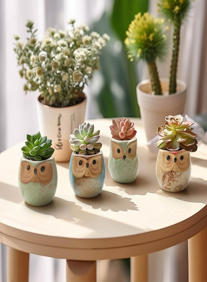 T4U 2.5 Inch Owl Ceramic Succulent Planter Pots with Drainage Hole Set of 12, Flowing Glaze Porcelain Handicraft Plant Holder Container Gift for Mom Sister Aunt Best for Home Office Garden Decoration - Image 5