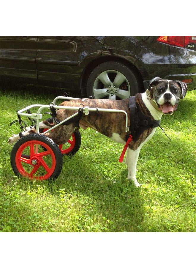Best Friend Mobility Dog Wheelchair - Large  - Image 1