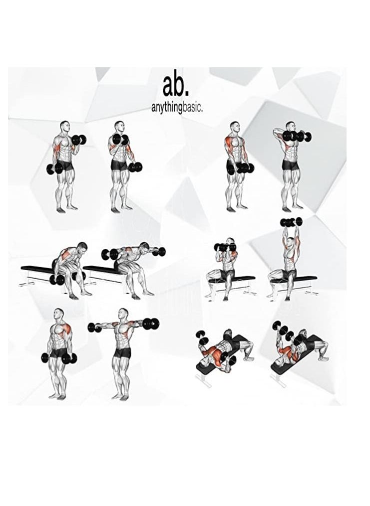 AB - anythingbasic. PVC 22KG Dumbbells Set - Image 1