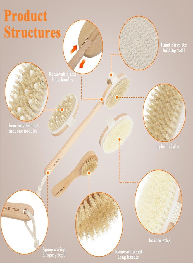 SAMEBUTECO 5 Packs Dry Brushing Set Natural Body Brush Wood Long Handle with 3 Detachable Heads, 1 Face Brush,Natural Boar Bristle Exfoliator for Lymphatic Drainage and Cellulite,Back Scrubber - Image 4