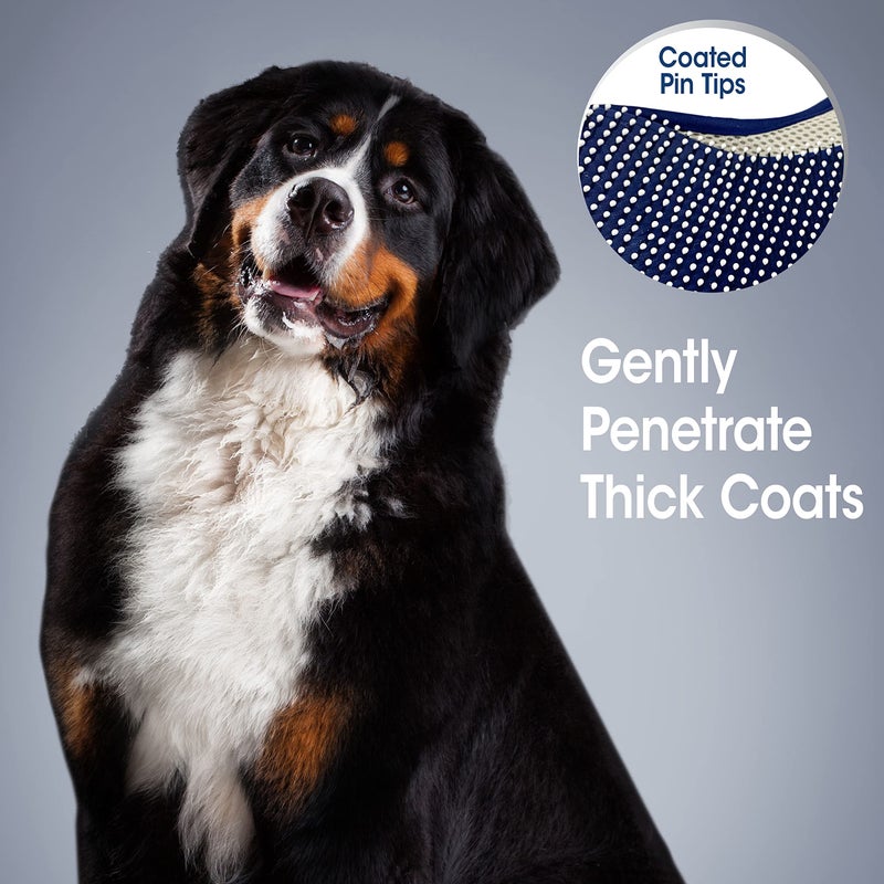 فور باوز قفاز فاخر للقطط مع طرف رقيق من ماجيك كوت - Image 4