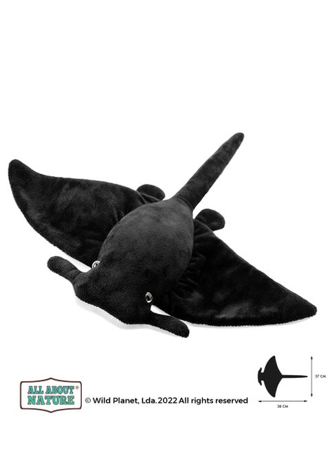 Wild Planet Manta Ray