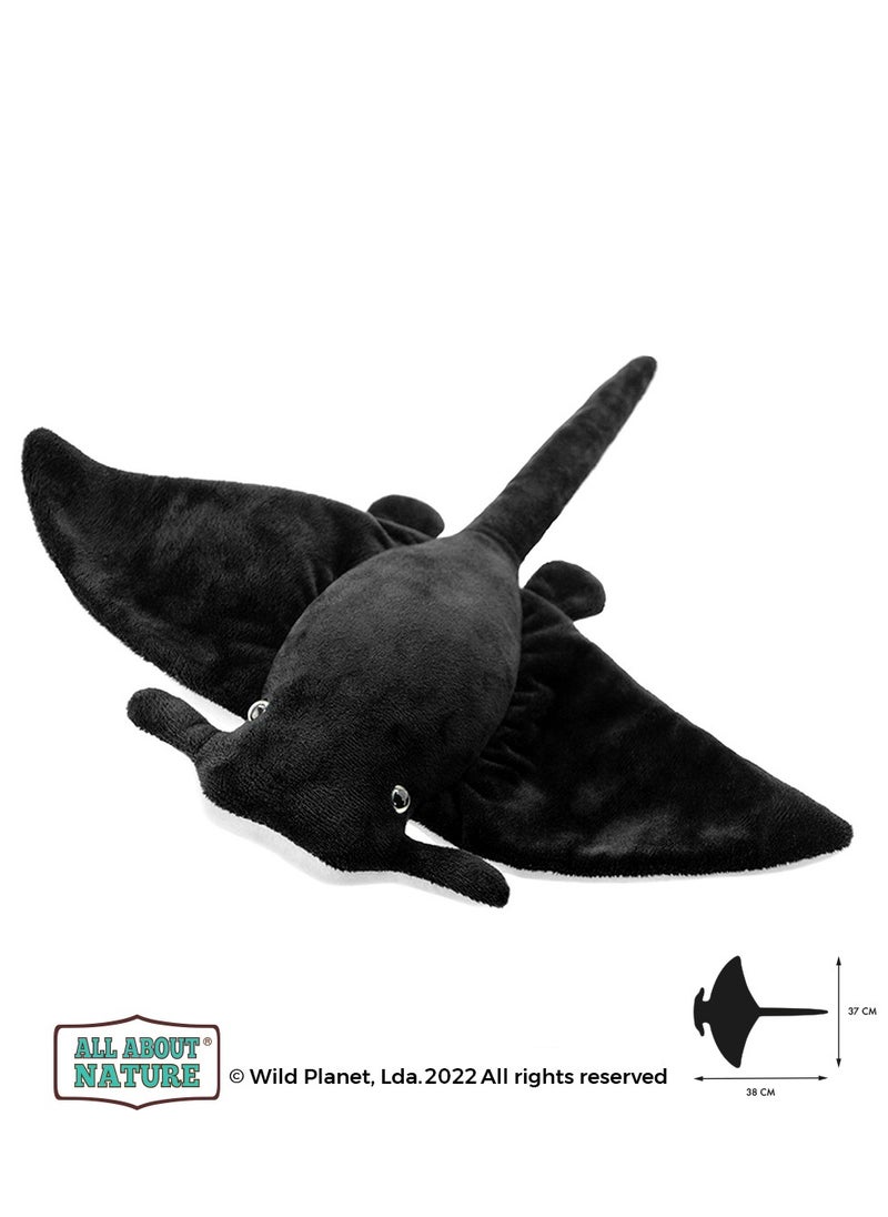 Wild Planet - Wild Planet Manta Ray - Image 1
