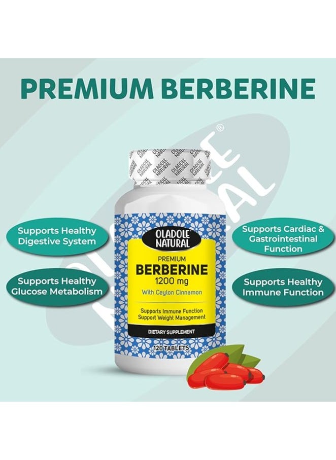 Oladole Natural Oladole Natural Berberine with Ceylon Cinnamon 1200mg 120 Tablets Premium Formula for Weight Management, Antioxidant, Immune Function | Gluten-Free  - Image 4