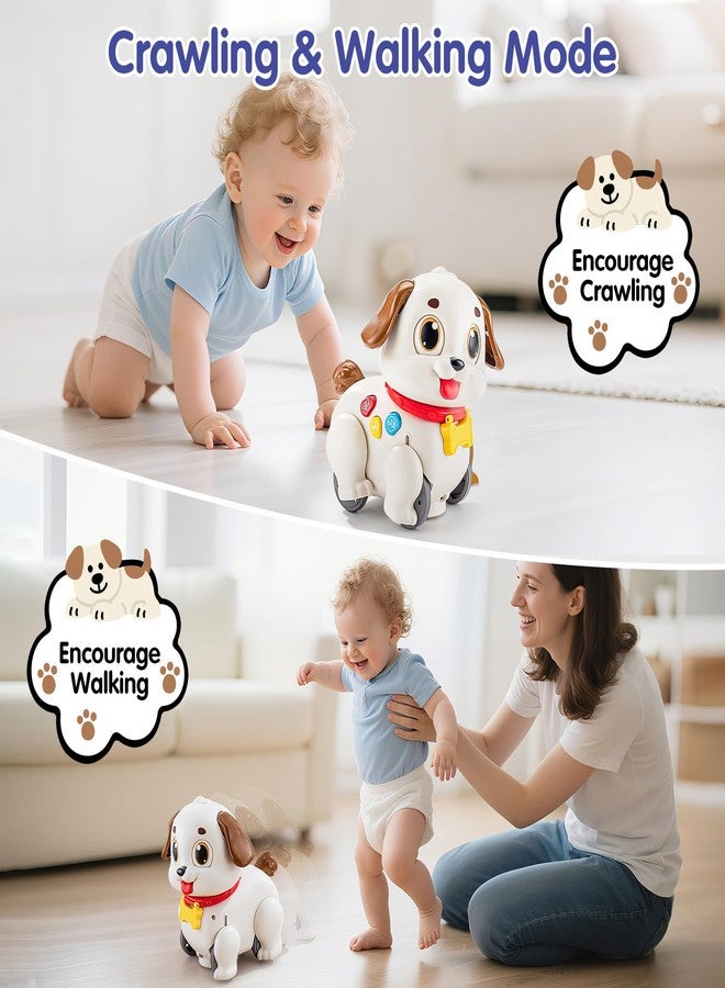 HOLA Baby Toys 6-12 Months Musical Dancing Puppy Tummy Time Toy, Toddler Learning Toys for 1 Year Old Girl Boy, 1st Birthday Gift for Boys & Girls Christmas Stocking Stuffers - Image 2