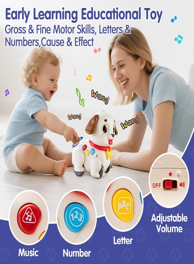 HOLA Baby Toys 6-12 Months Musical Dancing Puppy Tummy Time Toy, Toddler Learning Toys for 1 Year Old Girl Boy, 1st Birthday Gift for Boys & Girls Christmas Stocking Stuffers - Image 5