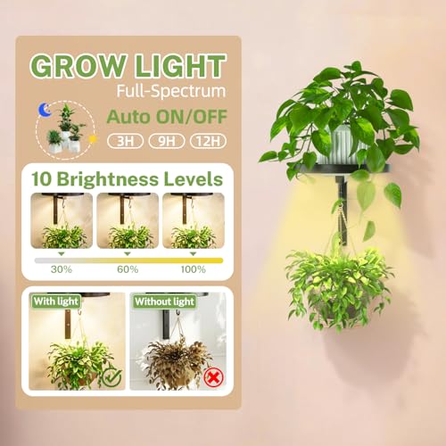 iDavosic.ly Wall Plant Holder with Grow Lights Set of 2 for Indoor Outdoor, Metal Hanger with 2 Hooks, Floating Flower Display Stand for Window, Space Saving & Easy to Assemble (Pots Not Included) - Image 3