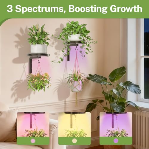 iDavosic.ly Wall Plant Holder with Grow Lights Set of 2 for Indoor Outdoor, Metal Hanger with 2 Hooks, Floating Flower Display Stand for Window, Space Saving & Easy to Assemble (Pots Not Included) - Image 5